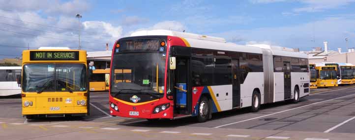 Adelaide Metro Scania K360UA Custom CB80 1173